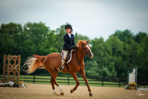 ROKEBY FARM EQUESTRIAN - Home