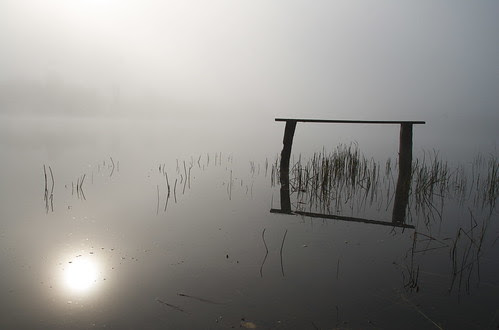 Morning on the lake 3