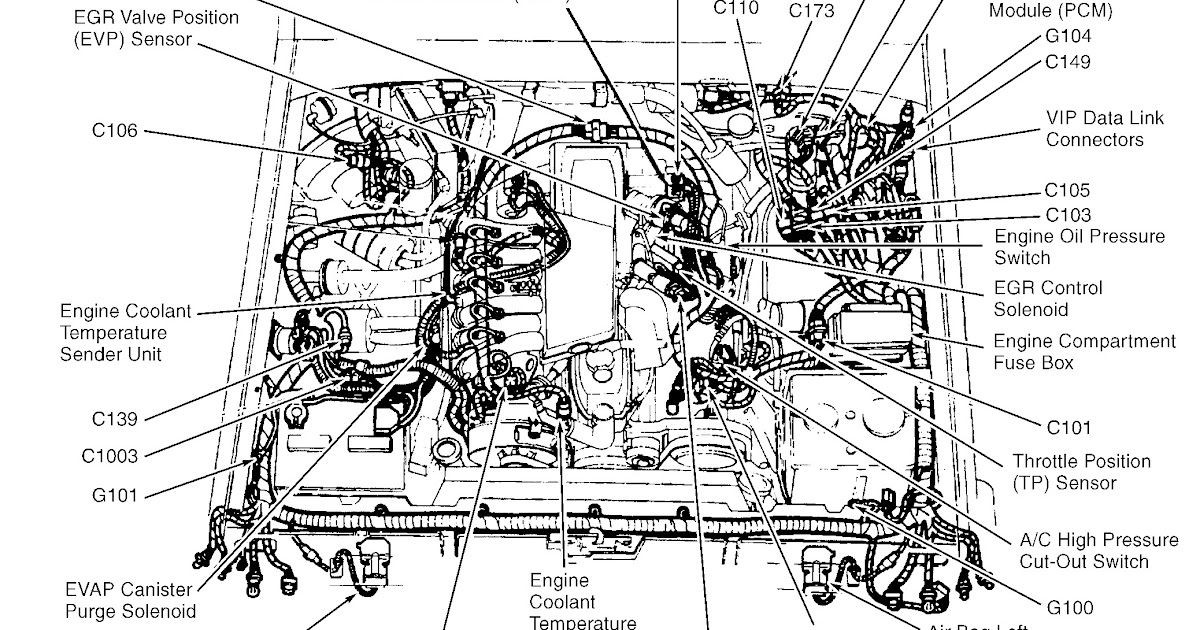 Diagram Of 3 4 Engine Compartment