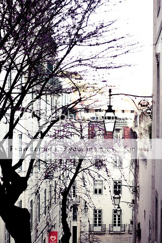 photo LISSABON_TRIP_KURZURLAUB_LISBON_LISBOA_PORTUGAL_GUIDE_BAIXA_CHIADO_STREET_STRASSE_TREPPEN_STAIRS2_zps6817af14.jpg