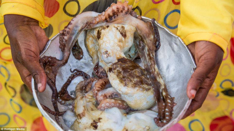 Fresh octopus caught by Rock Restaurant staff for diners