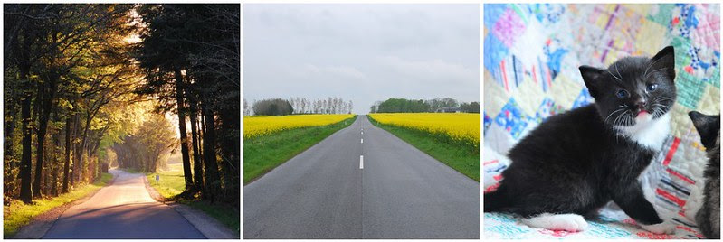 may