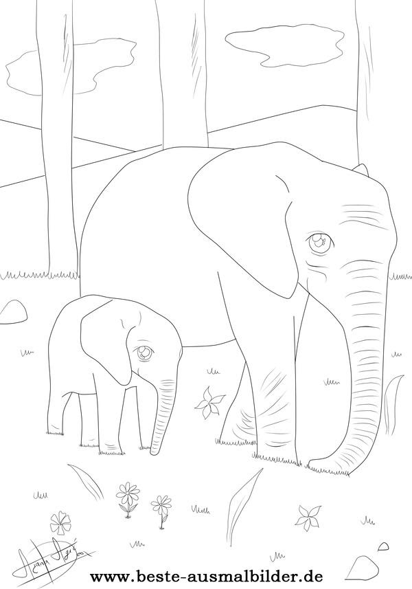elefanten malvorlagen zum ausdrucken