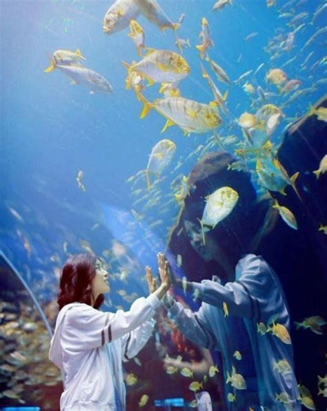 Pin by Andrew Mooney on Zoos & Aquariums Aquarium, Pets Pin by Andrew Mooney on Zoos & Aquariums Aquarium, Pets