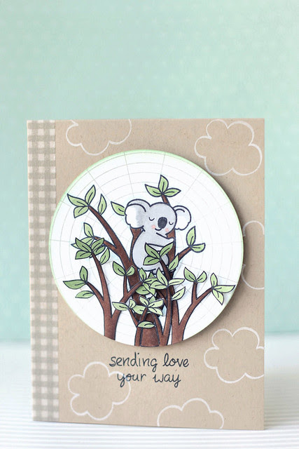 koala love