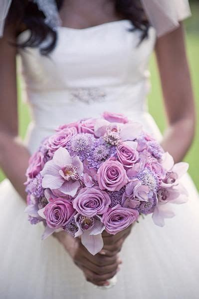 199 Best images about Scabiosa. C??????? on Pinterest 199 Best images about Scabiosa. C??????? on Pinterest