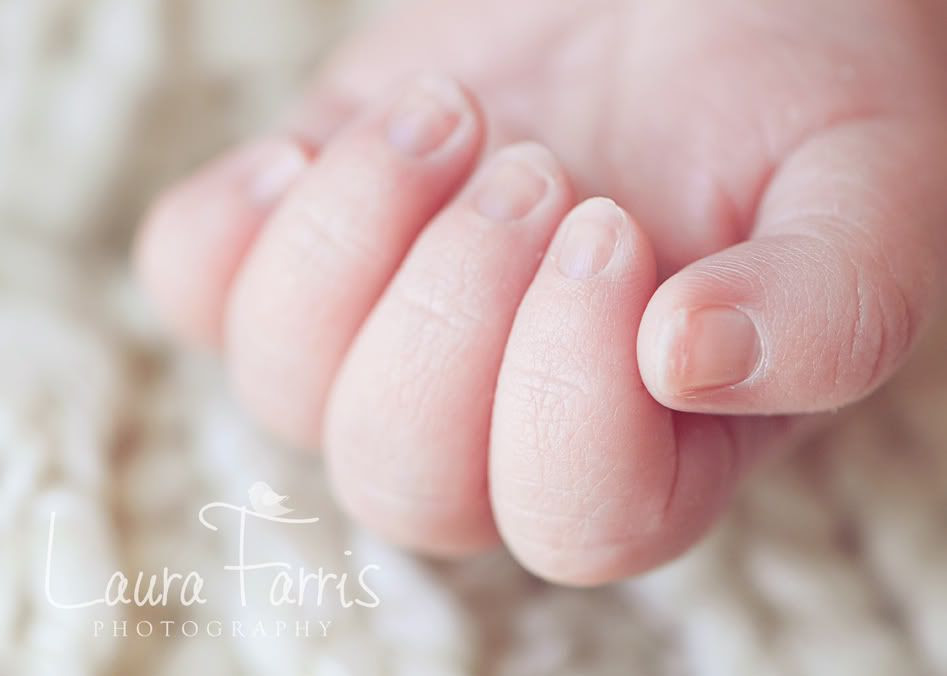 Boise newborn photography Idaho newborn photograher