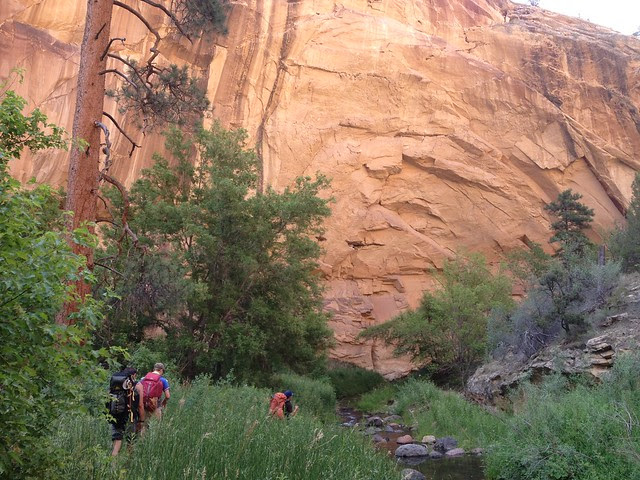 Death Hollow