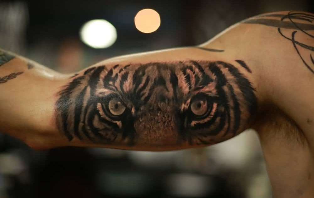 58+ Tiger Eyes Tattoos Ideas - Get Free Tattoo Design Ideas