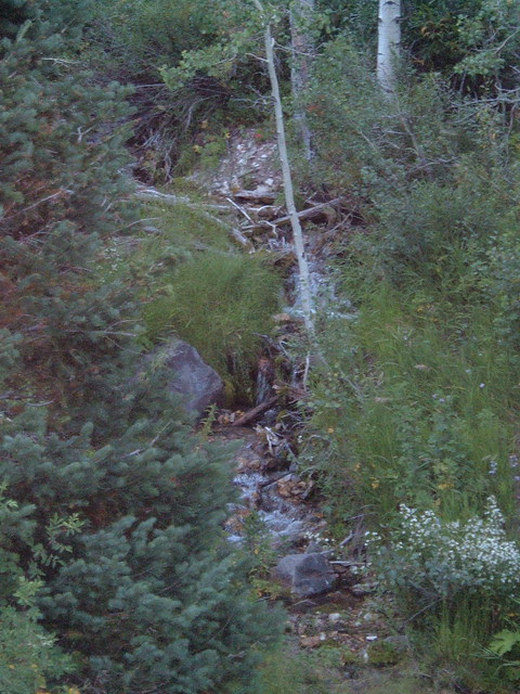 Gobblers Knob 08.28.05