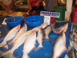 ikan dori