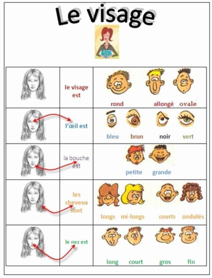 Les cheveux en anglais - les cheveux et les coiffures