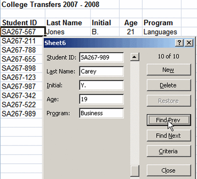 23+ Excel Worksheet Data Entry Form - marinfd