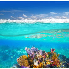 Unduh 5800 Background Pemandangan Bawah Laut HD Terbaik