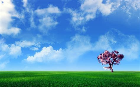 sfondi per schermi 16:9 ? Sfondissimo Sfondi sfondi per schermi 16:9 ? Sfondissimo Sfondi