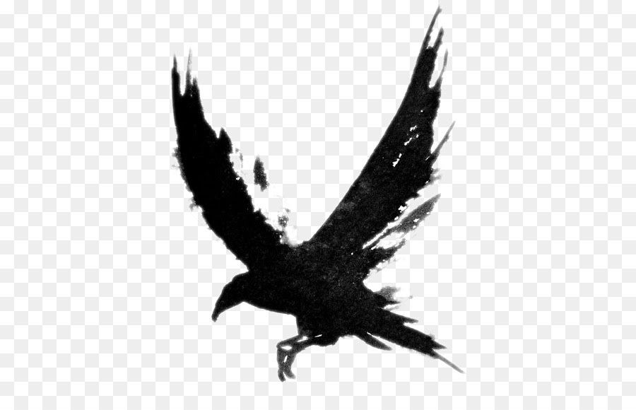 Featured image of post How To Draw A Flying Crow Original drawing of a flying crow size