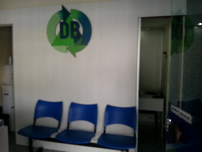 dirigindobem.com.br