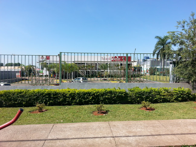 Maple Bear Brasília