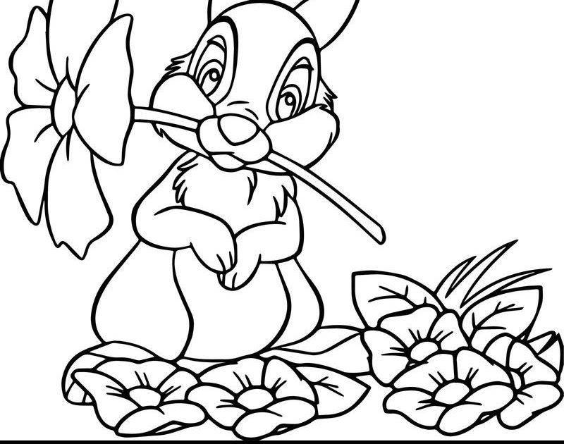 Flower And Bunny Coloring Pages - Tripafethna