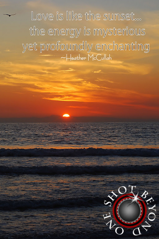 photography quotes about life | tauigess
