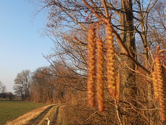 P1010709