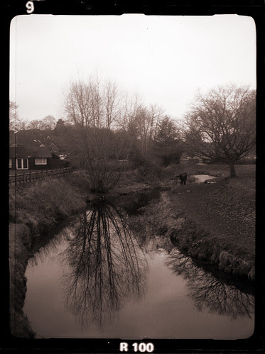 fishing in the river Wey by pho-Tony