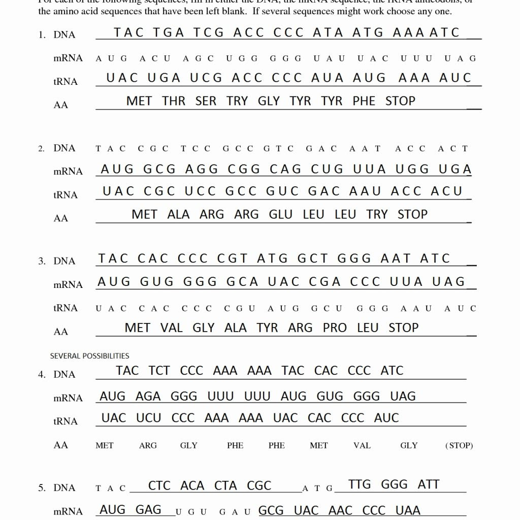 trna-and-mrna-transcription-worksheet-with-answer-key-impact-of