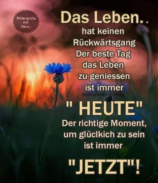 Sprüche Leben Genießen 44 Leben wie man selbst will, Leben genießenIdeen leben