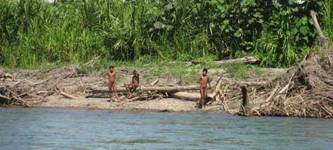 Indígenas aislados captados en Manú. | Gabriella Galli | Survival