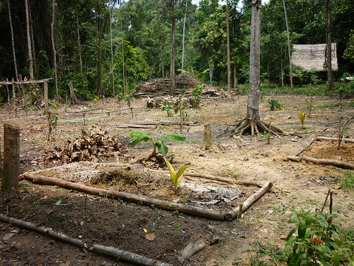 P1000592