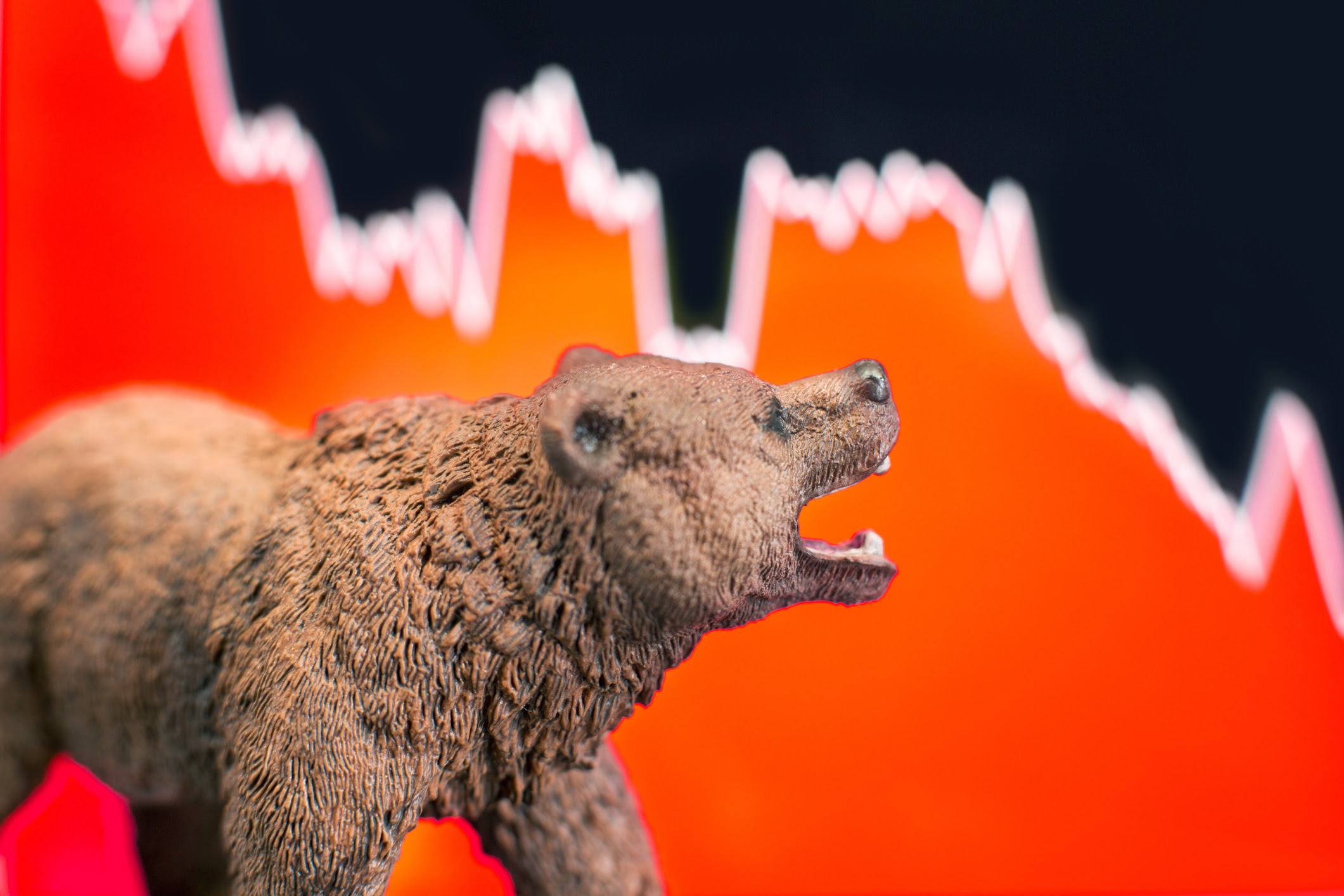 Nasdaq Bear Market: 5 Fantastic Growth Stocks You'll Regret Not Buying On the Dip