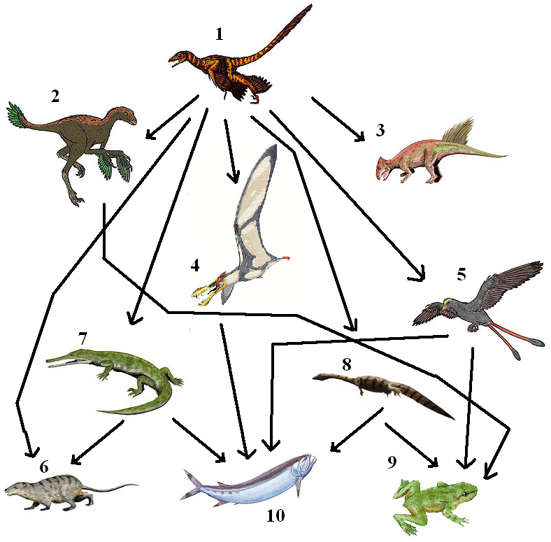 food chain ocean Biology Diagrams