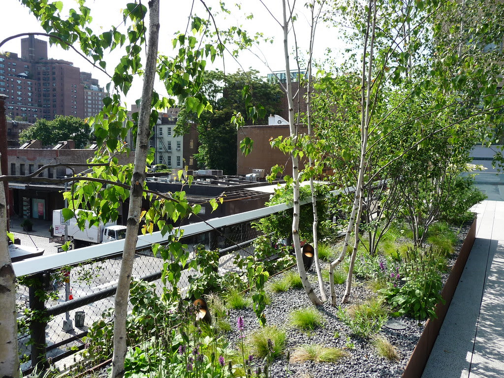 Photo of plantings along the High Line