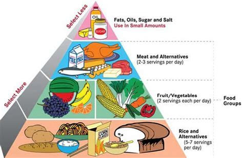 Fat Doesn't Make You Fat InBody Fat Doesn't Make You Fat InBody