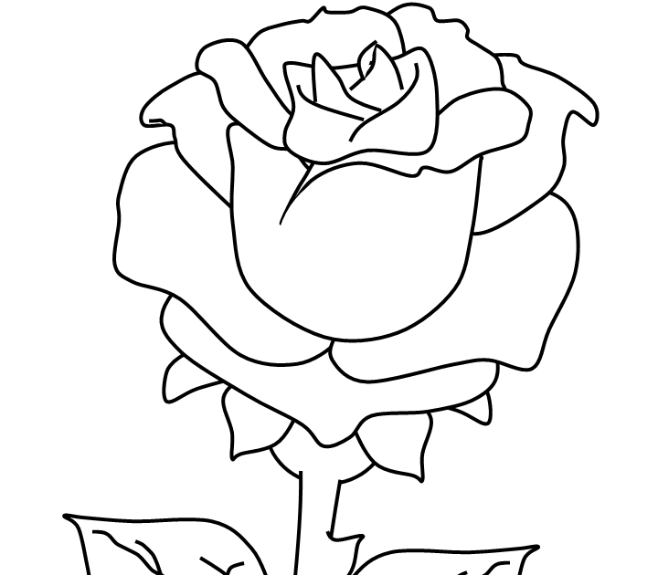 Coloring Pages Of Roses With Banners : 73+ Rose Coloring Pages ...