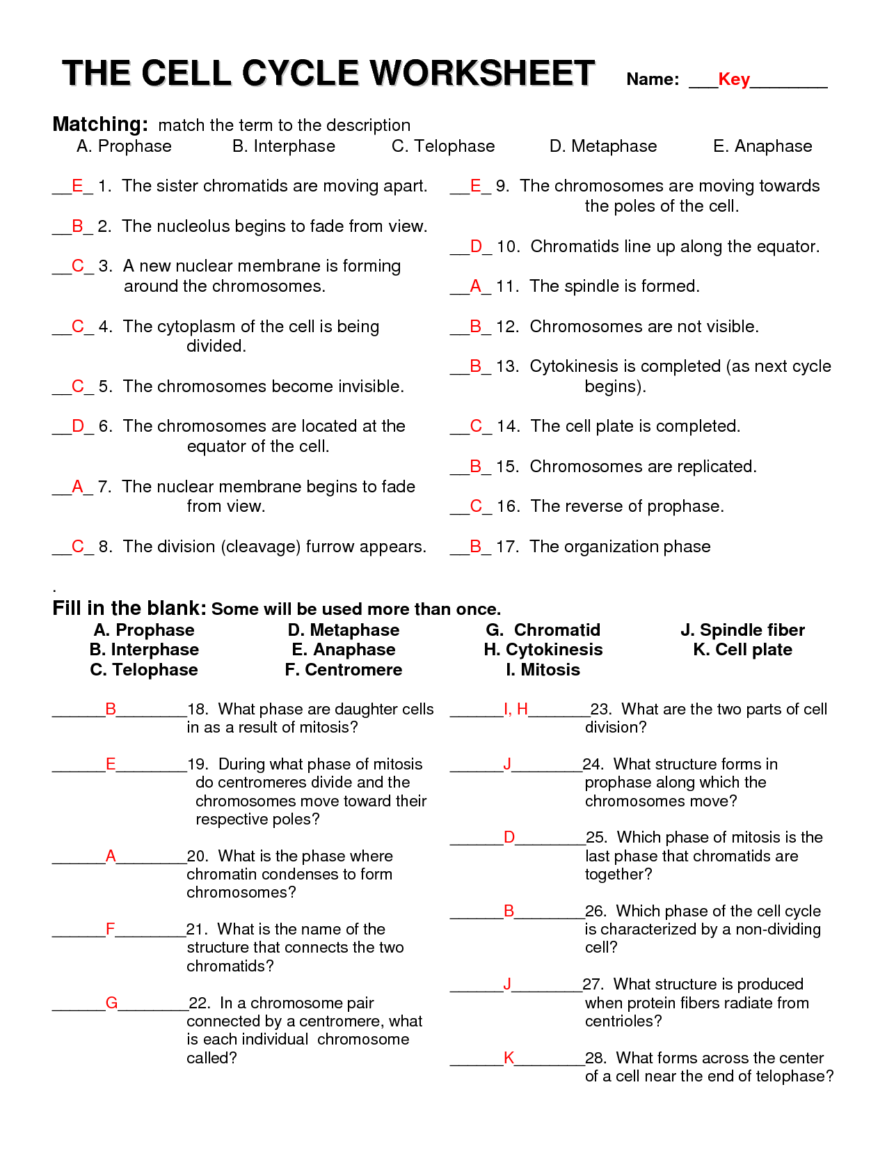 Featured image of post The Cell Cycle Coloring Worksheet Questions Answers Some will be used more than once