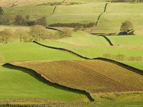 เที่ยวญี่ปุ่น patchwork field