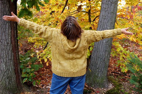 Central Park Hoodie