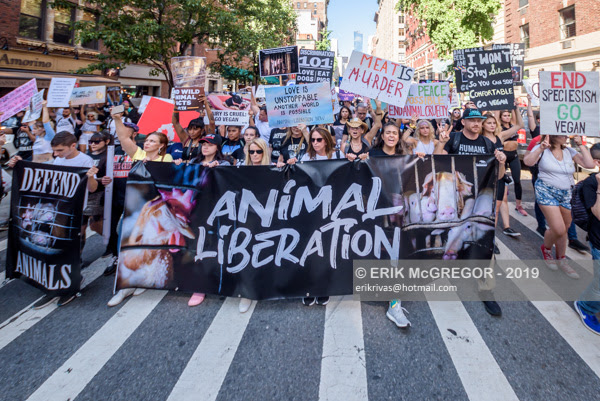 Animal Liberation Front Uk 2019 - FANILAM
