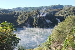 NZ 175