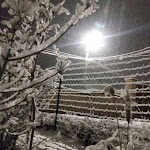 EURE-ET-LOIR / LOIR-ET-CHER - Vos photos de l'épisode neigeux