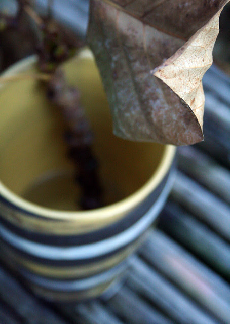 brownstripe2