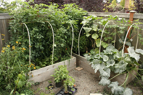 The Garden Oct 1st