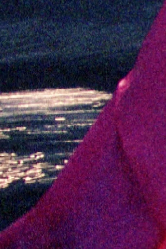 la sirena 2 pelicula completa en español