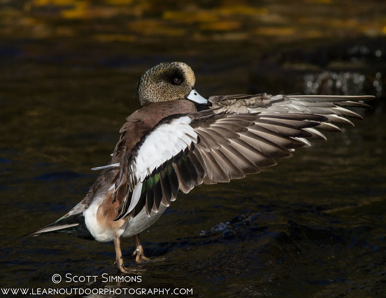 Photo & Video Sharing by SmugMug Photo & Video Sharing by SmugMug