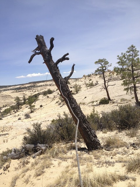 Boulder mail trail