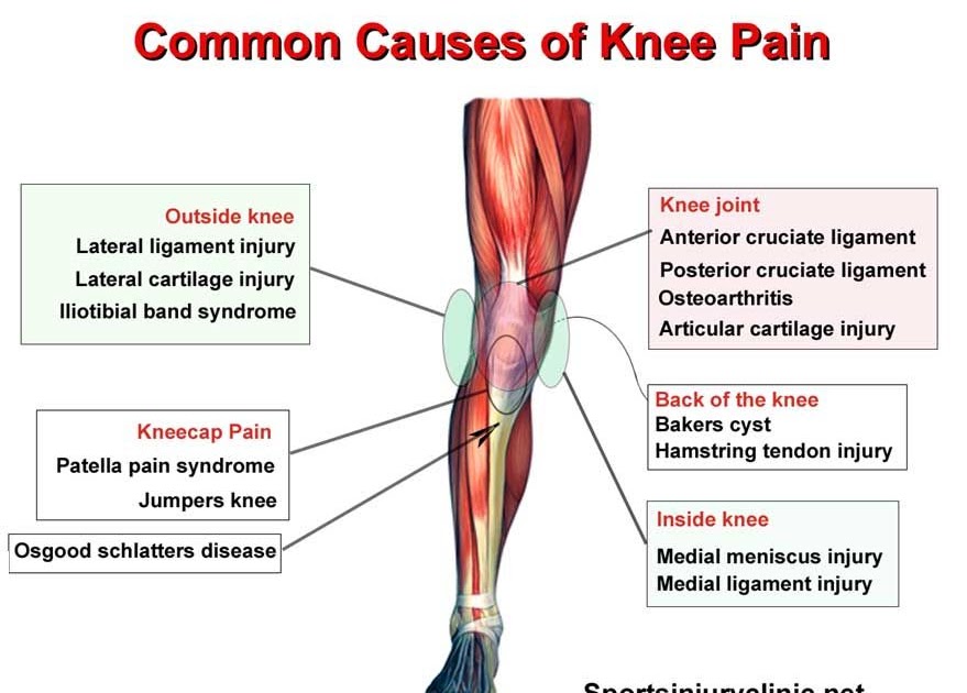 knee-pain-where-is-your-knee-pain-and-what-could-be-causing-it-these