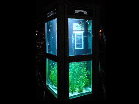 Telephone Booth Aquarium