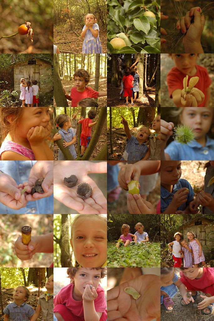woodland