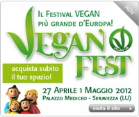 vfest_cubo